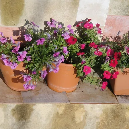 Lägenhet Barbara's Maisonette Argostoli (Kefalonia)